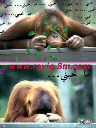 hhhhhhhhhhhhh  Tu pas de chance